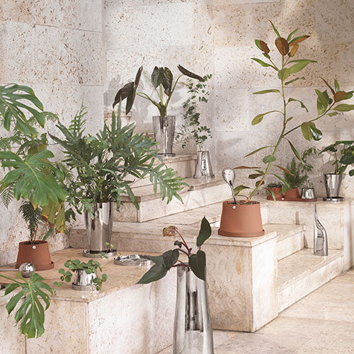 How to Choose the Right Pot or Planter for Any Plant