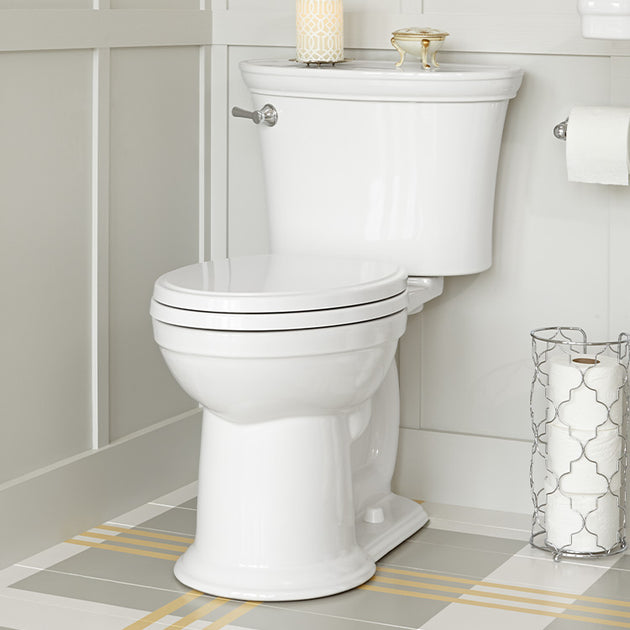 Toilet Tips & Terms Riverbend Home