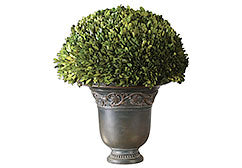 Artificial Plants & Trees