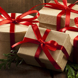 Top 100 Holiday Gifts 2025