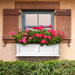 Lawn & Garden
