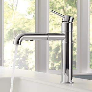 Pull-Out Spray Faucets