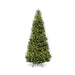 8' Christmas Trees