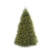 10' Christmas Trees and Over