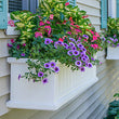 Window Boxes & Accessories