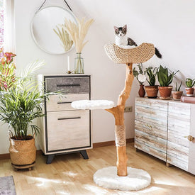 Uni Cat Tree with Basket - White
