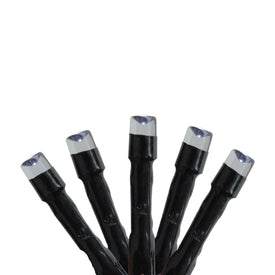 480-Count Cool White Battery-Operated LED Eight-Function Christmas Light Set with 117' Black Wire