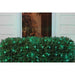 32604982 Holiday/Christmas/Christmas Lights