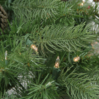 24" Pre-Lit Noble Fir with Red Berries and Pine Cones Artificial Christmas Wreath - Clear Lights