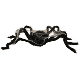Animated Walking Spider with Web