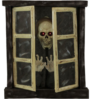 Product Image: HHDWNDW-1LSA Holiday/Halloween/Halloween Indoor Decor