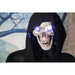 HHRPR-2FLSA Holiday/Halloween/Halloween Indoor Decor