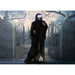 HHRPR-2FLSA Holiday/Halloween/Halloween Indoor Decor
