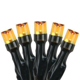 20-Count Pre-Lit Amber Battery-Operated LED Wide-Angle Christmas Lights with 6.25' Green Wire