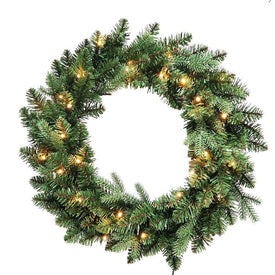 24" Battery-Operated Warm White LED Jackson Wreath