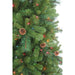 TR70753PLM Holiday/Christmas/Christmas Trees