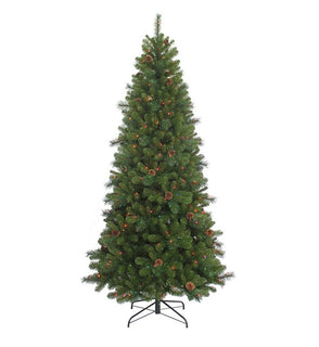 Product Image: TR70753PLM Holiday/Christmas/Christmas Trees