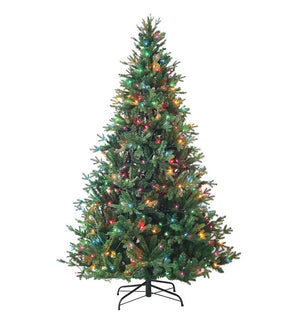 Product Image: TR3241PLM Holiday/Christmas/Christmas Trees