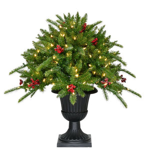 Product Image: FF004PT-024-5GR Holiday/Christmas/Christmas Trees