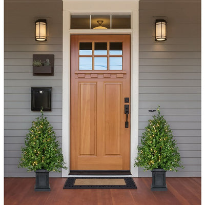 3' Pre-Lit Artificial Boxwood Tree in Black Pot with Warm White LED Lights Set of 2