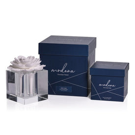 Modena Large Diffuser Gift Set - White Rose