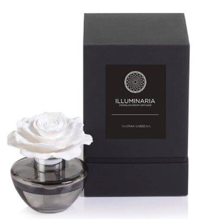 Product Image: CH-3393 Decor/Candles & Diffusers/Scents & Diffusers