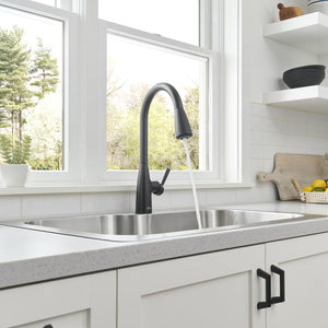 7617300.243 Kitchen/Kitchen Faucets/Pull Down Spray Faucets