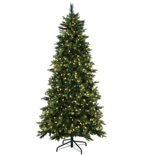 Product Image: DT211376LED Holiday/Christmas/Christmas Trees