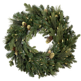 Vickerman 24" Emerald Mixed Fir Artificial Christmas Wreath with LED Warm White Lights