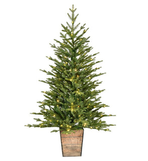 Product Image: G201641LED Holiday/Christmas/Christmas Trees