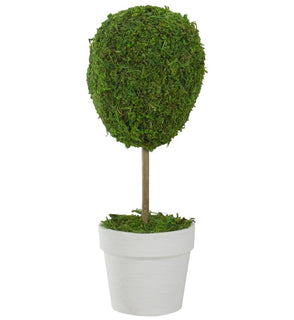 Product Image: 31516459 Decor/Faux Florals/Plants & Trees