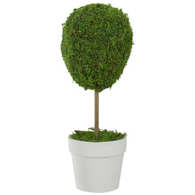 14" Green Reindeer Moss Ball Potted Artificial Spring Topiary Tree