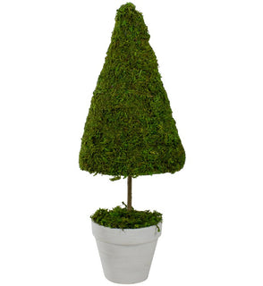 Product Image: 31516465 Decor/Faux Florals/Plants & Trees
