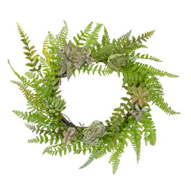 22" Green Succulents and Foliage Artificial Spring Twig Wreath