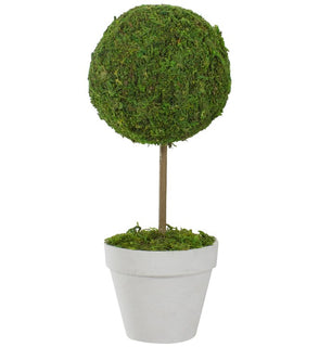 Product Image: 31516466 Decor/Faux Florals/Plants & Trees