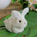 32728974 Holiday/Easter/Easter Tableware and Decor