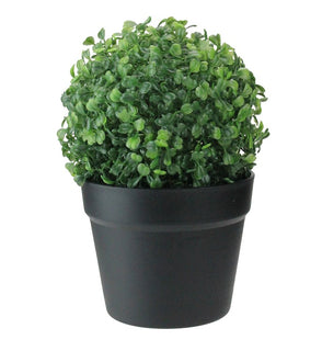 Product Image: 32036218 Decor/Faux Florals/Plants & Trees