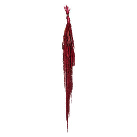 Vickerman 30" Merlot Amaranthus Bundle, Preserved