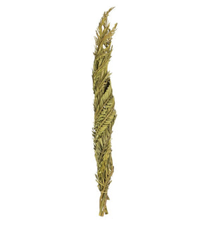 Product Image: H2CTW100 Decor/Faux Florals/Plants & Trees