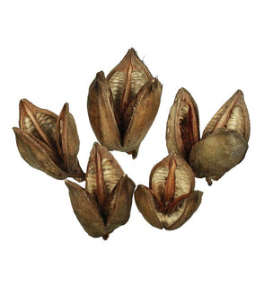 Product Image: H2SORB000-1 Decor/Faux Florals/Floral Arrangements