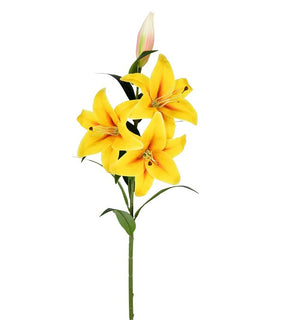 Product Image: FD190578 Decor/Faux Florals/Plants & Trees