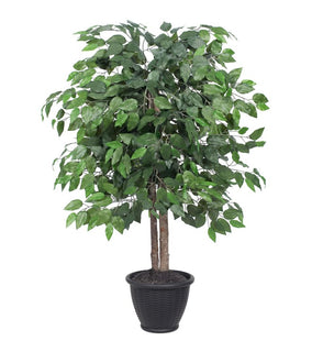 Product Image: TBU0140-RG Decor/Faux Florals/Plants & Trees
