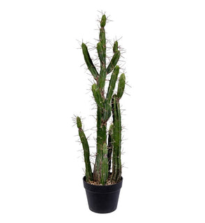 Product Image: FE191134 Decor/Faux Florals/Plants & Trees