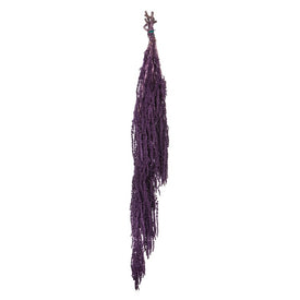 30"-34" Dried and Preserved Violet Amaranthus 7 oz Bundle