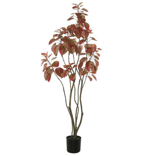 Product Image: TB170248 Decor/Faux Florals/Plants & Trees