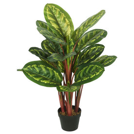 36" Artificial Calathea Peacock Plant in Plastic Pot