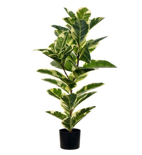 Product Image: TA193038 Decor/Faux Florals/Plants & Trees