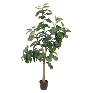 Product Image: TB180296 Decor/Faux Florals/Plants & Trees