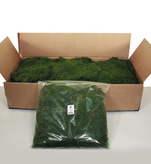 Product Image: H1MOU150 Decor/Faux Florals/Plants & Trees