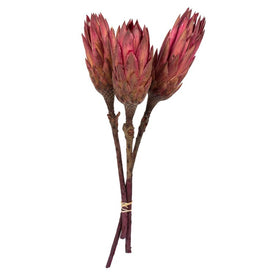 8"-12" Dried and Preserved Erica Pink Repens on Natural Stem 180 Per Case